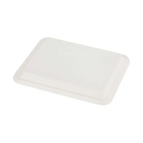 etal-shops.com - Couvercle plateau repas bio 5 compartiments en canne à  sucre 240 mm x 200 mm x 19 mm x 200 PAPA France